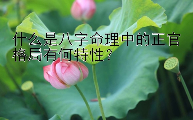 什么是八字命理中的正官格局有何特性？