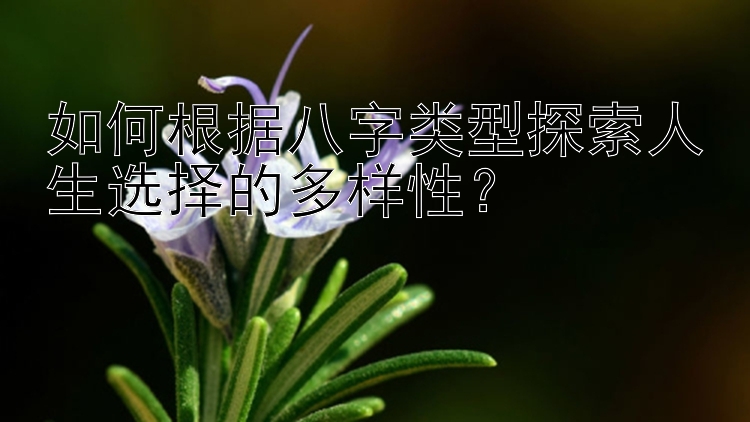 如何根据八字类型探索人生选择的多样性？