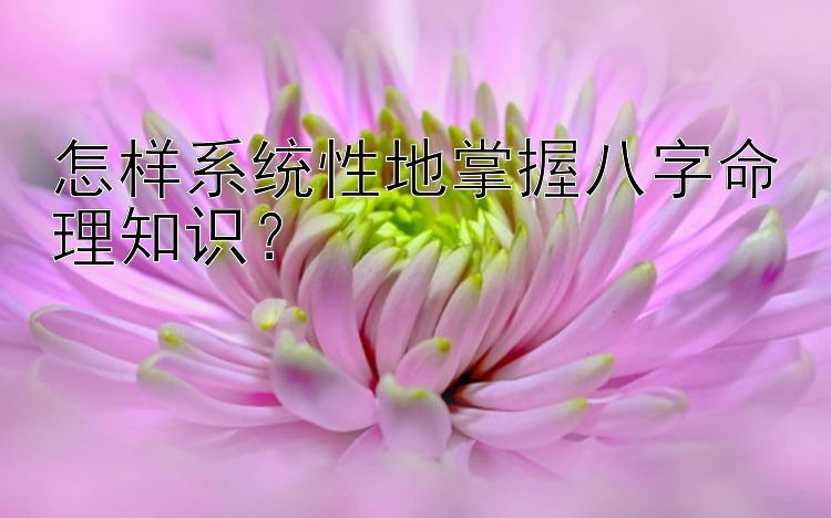 怎样系统性地掌握八字命理知识？