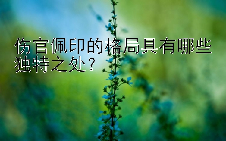 伤官佩印的格局具有哪些独特之处？