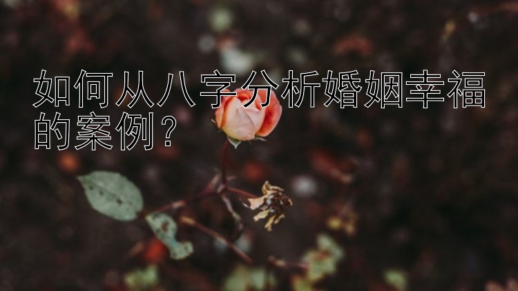 如何从八字分析婚姻幸福的案例？