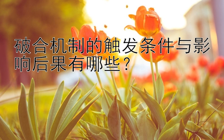 破合机制的触发条件与影响后果有哪些？