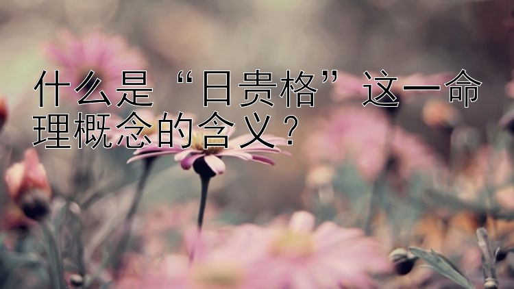 什么是“日贵格”这一命理概念的含义？