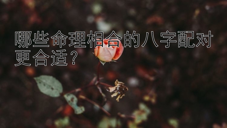 哪些命理相合的八字配对更合适？