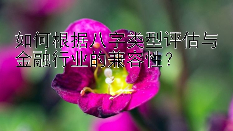 如何根据八字类型评估与金融行业的兼容性？