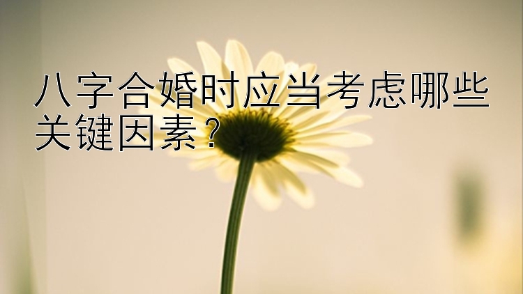 八字合婚时应当考虑哪些关键因素？