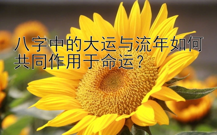 八字中的大运与流年如何共同作用于命运？