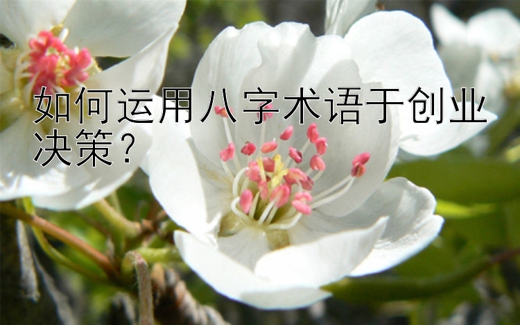 如何运用八字术语于创业决策？