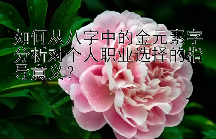 如何从八字中的金元素字分析对个人职业选择的指导意义？