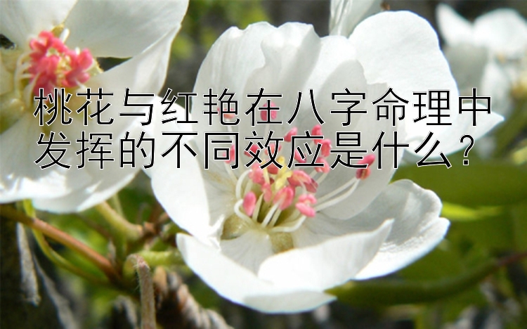 桃花与红艳在八字命理中发挥的不同效应是什么？