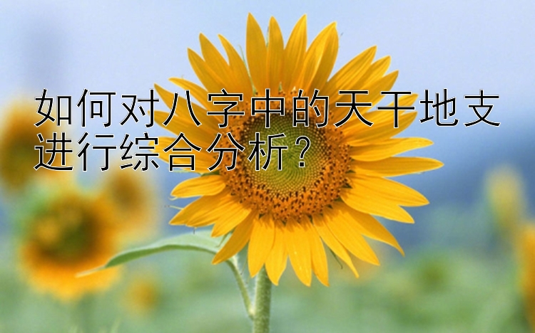 如何对八字中的天干地支进行综合分析？