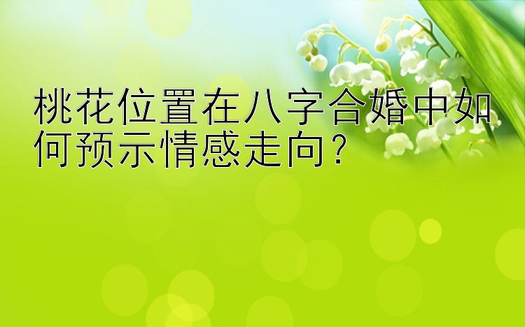 桃花位置在八字合婚中如何预示情感走向？