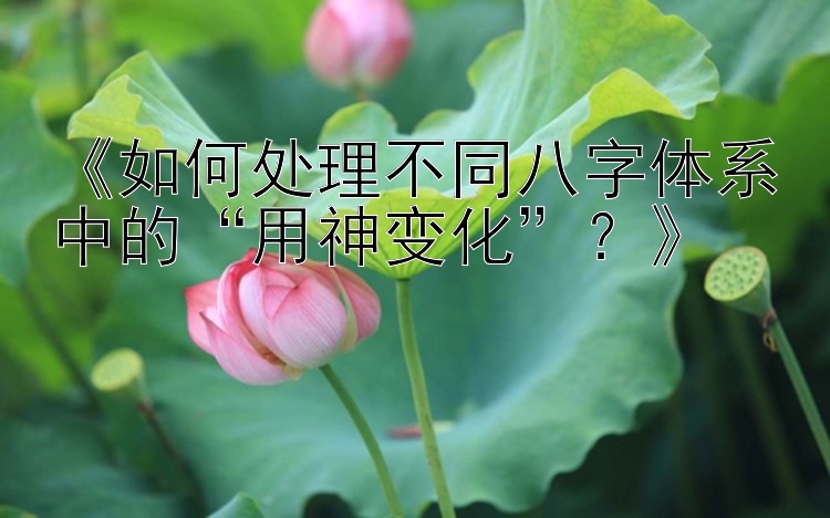 《如何处理不同八字体系中的“用神变化”？》