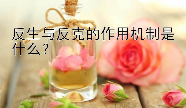 反生与反克的作用机制是什么？