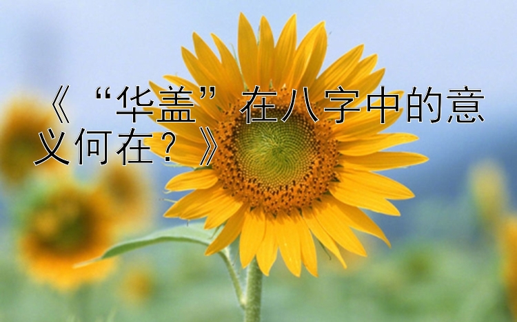 《“华盖”在八字中的意义何在？》