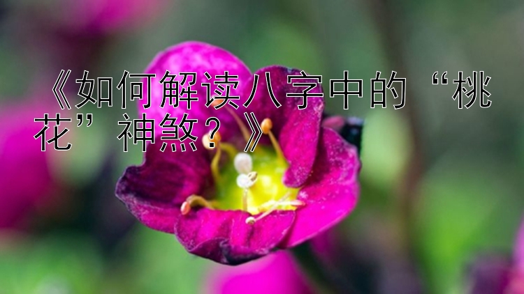 《如何解读八字中的“桃花”神煞？》