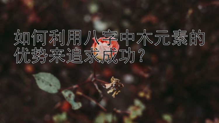 如何利用八字中木元素的优势来追求成功？