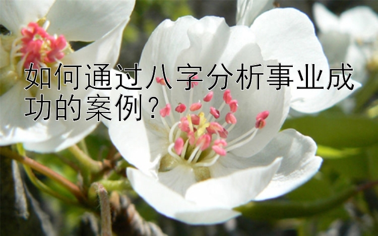 如何通过八字分析事业成功的案例？