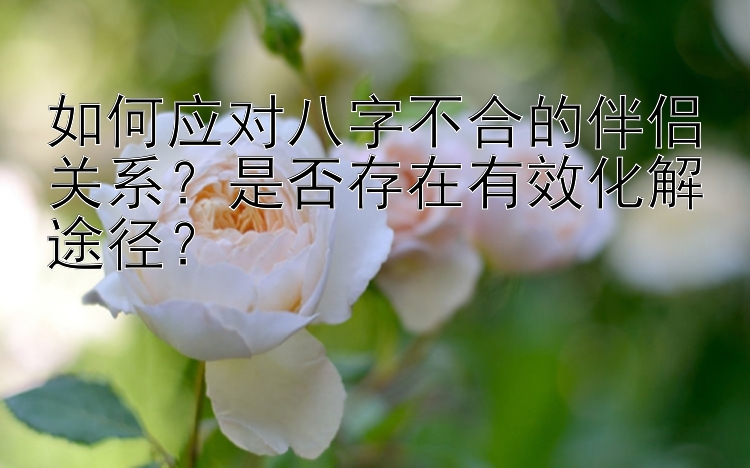 如何应对八字不合的伴侣关系？是否存在有效化解途径？