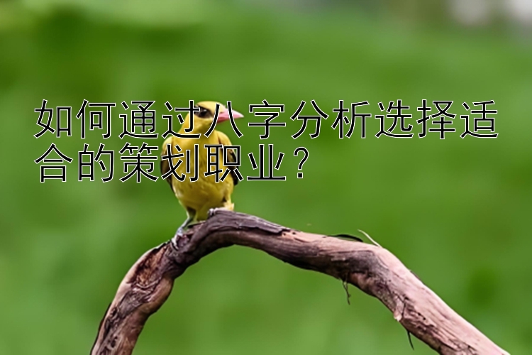 如何通过八字分析选择适合的策划职业？