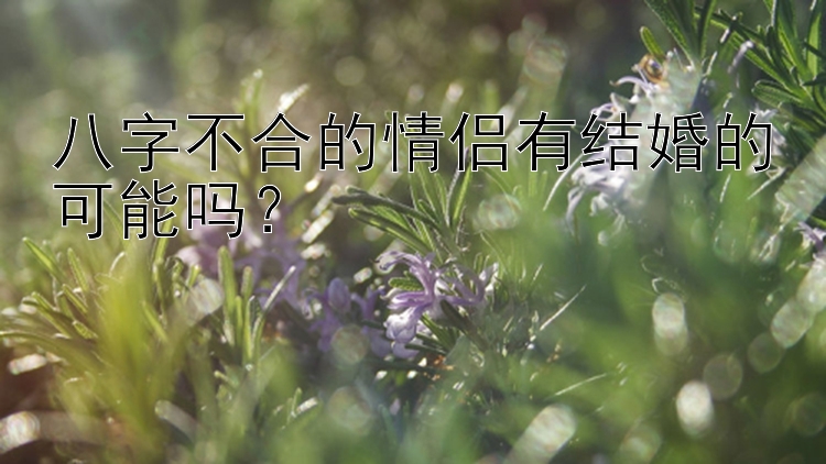 八字不合的情侣有结婚的可能吗？