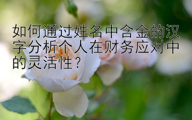 如何通过姓名中含金的汉字分析个人在财务应对中的灵活性？