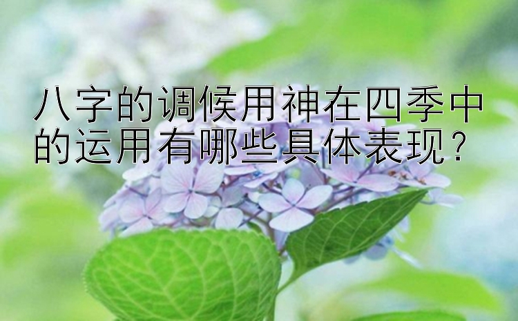 八字的调候用神在四季中的运用有哪些具体表现？