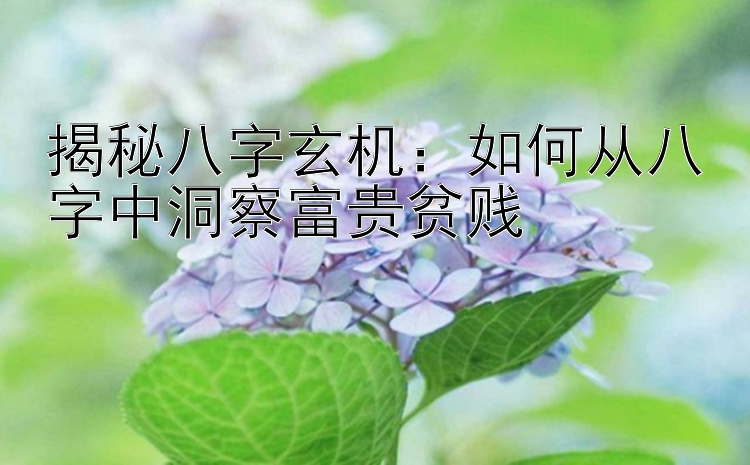 揭秘八字玄机：如何从八字中洞察富贵贫贱