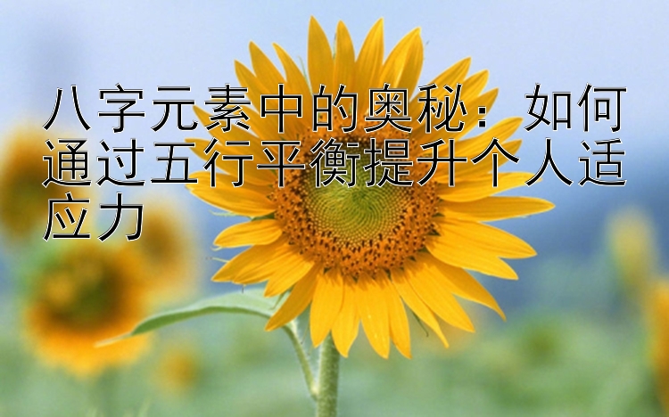 八字元素中的奥秘：如何通过五行平衡提升个人适应力