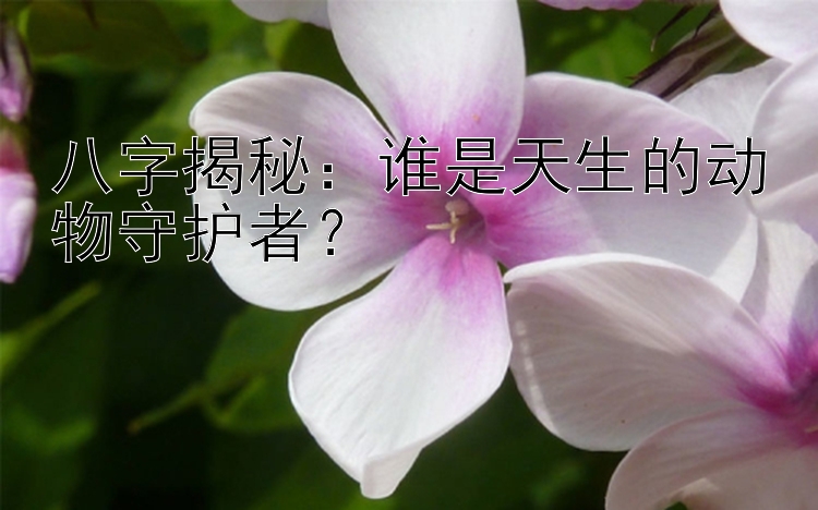 八字揭秘：谁是天生的动物守护者？