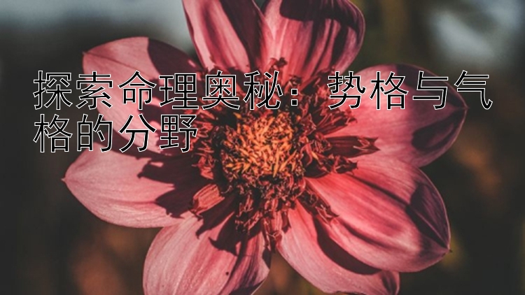 探索命理奥秘：势格与气格的分野