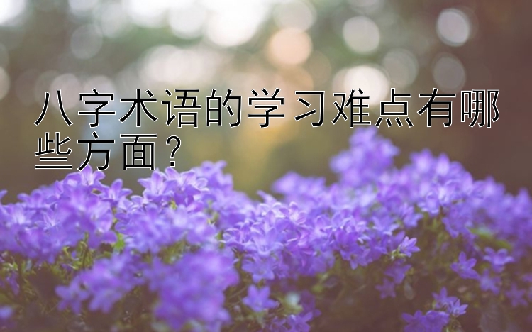 八字术语的学习难点有哪些方面？