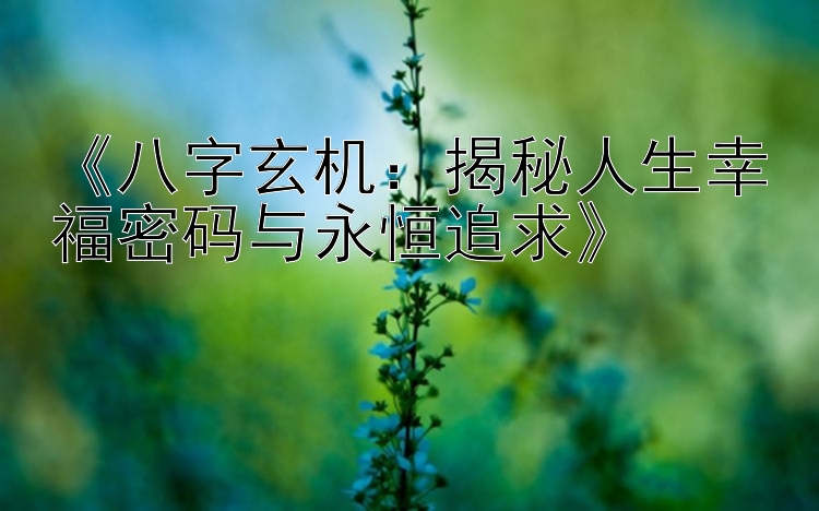 《八字玄机：揭秘人生幸福密码与永恒追求》