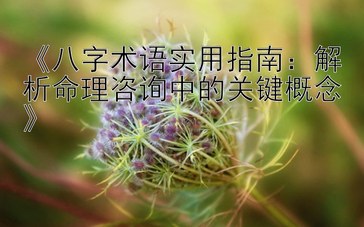 一分快三邀请码大发云最高邀请码   《八字术语实用指南：解析命理咨询中的关键概念》