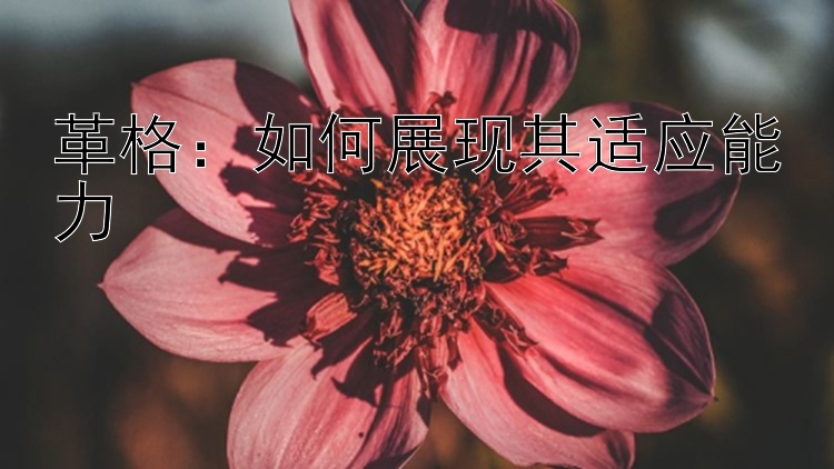 革格：如何展现其适应能力