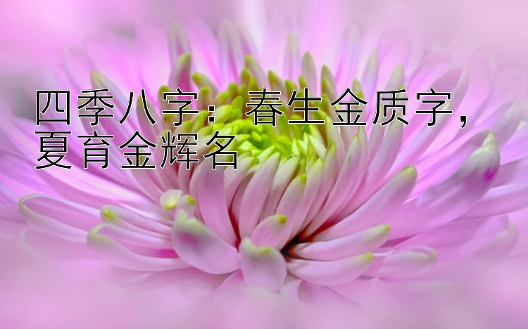 四季八字：春生金质字，夏育金辉名