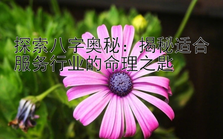 探索八字奥秘：揭秘适合服务行业的命理之匙