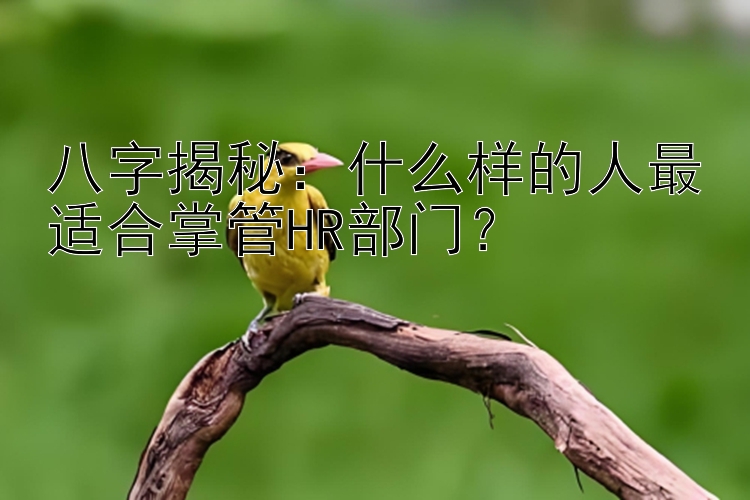 八字揭秘：什么样的人最适合掌管HR部门？