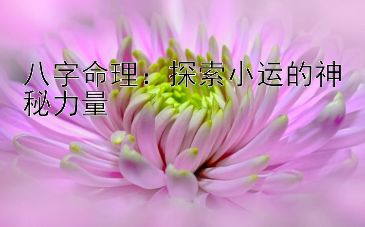 八字命理：探索小运的神秘力量