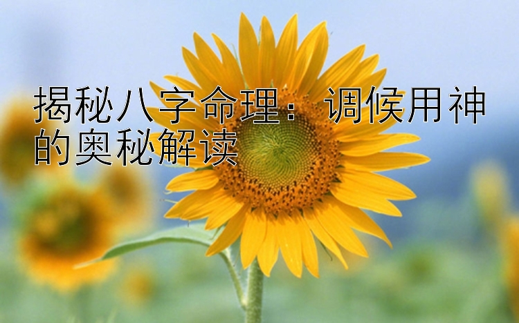 揭秘八字命理：调候用神的奥秘解读