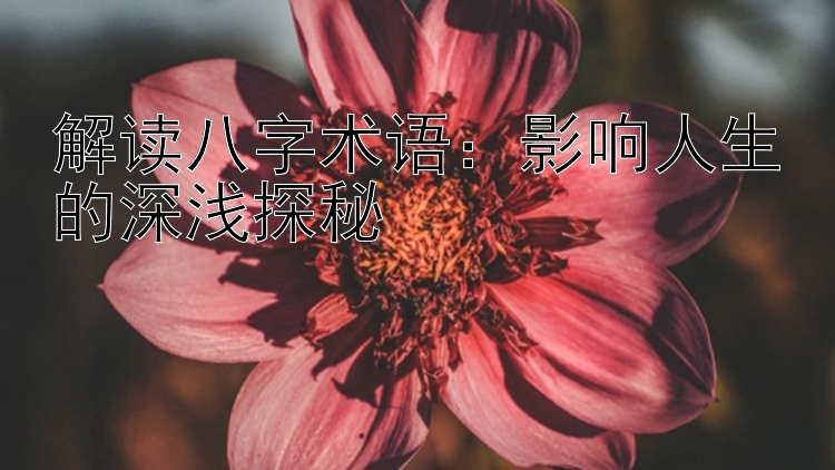 解读八字术语：影响人生的深浅探秘