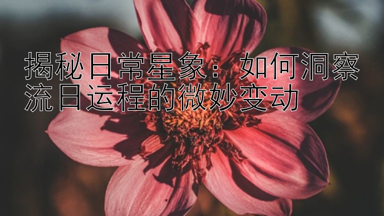 揭秘日常星象：如何洞察流日运程的微妙变动