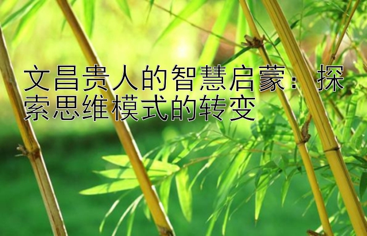 文昌贵人的智慧启蒙：探索思维模式的转变