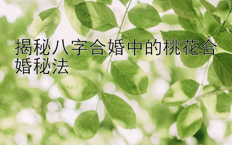 揭秘八字合婚中的桃花合婚秘法