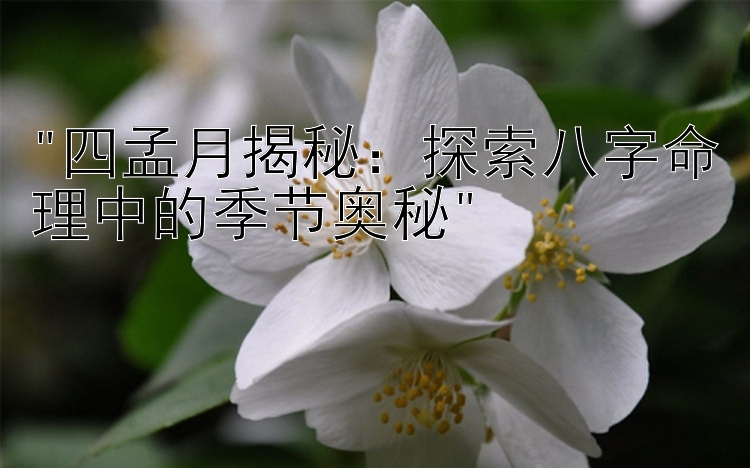 四孟月揭秘：探索八字命理中的季节奥秘