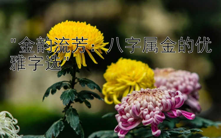 金韵流芳：八字属金的优雅字选