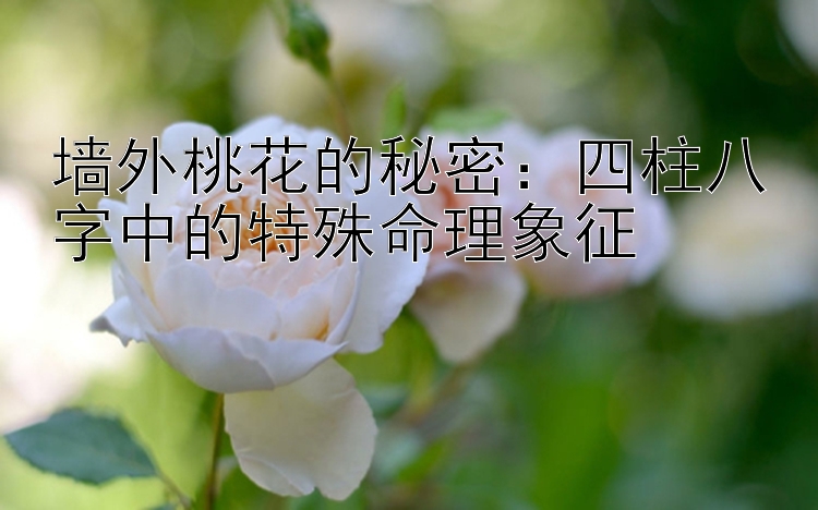 墙外桃花的秘密：四柱八字中的特殊命理象征