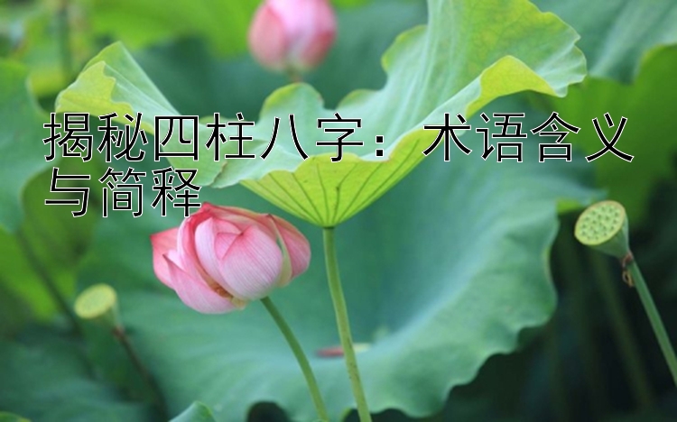 揭秘四柱八字：术语含义与简释