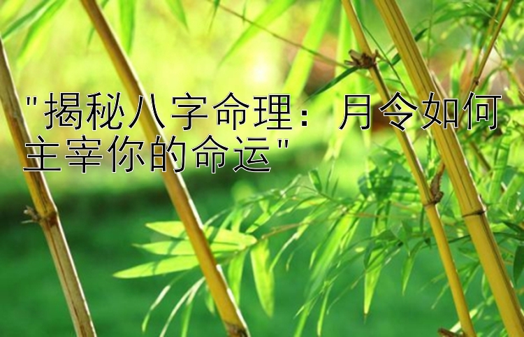 揭秘八字命理：月令如何主宰你的命运