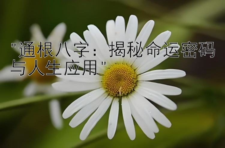 通根八字：揭秘命运密码与人生应用